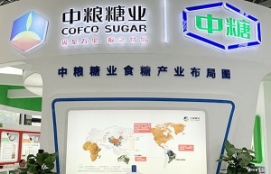 高糖价支撑中粮糖业H1业绩 七成利润用于派现 形成200万吨/年炼糖产能