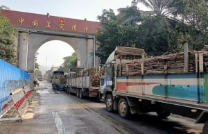 临沧清水河口岸已进口缅甸甘蔗6万余吨 本榨季预计将达16万吨