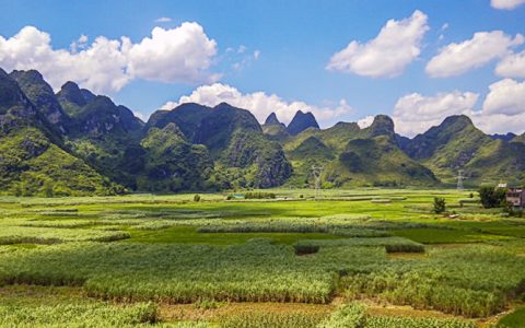 截至8月底云南食糖产销率81% 8月份单月销糖同比大增