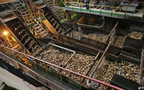 俄罗斯新榨季甜菜糖产量预估超600万吨 最近四个榨季统计