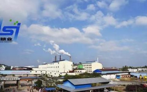 ST南糖靠卖公司、补助起死回生 主营业务起伏不定