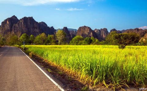 泰国2019/2020榨季产糖量将创九年新低