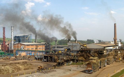 10月下半月巴西主产区产糖174万吨 同比增长14.4%