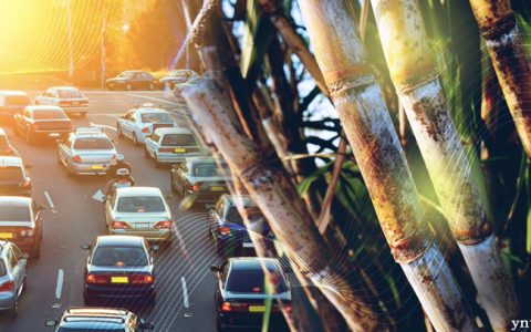 走出经济困境 巴西拟优先发展生物燃料