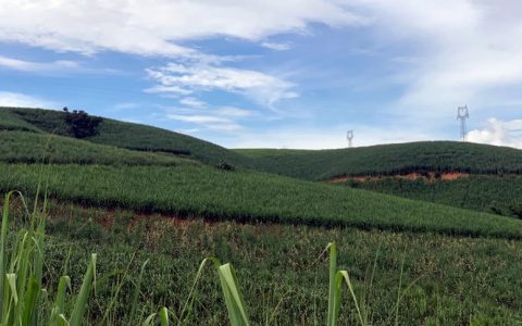 临沧南华糖业公司榨季生产结束 产糖68万吨 各项指标再创历史新高