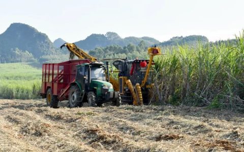 广西提高糖料蔗生产全程机械化补贴