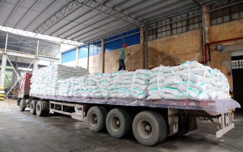 截至1月底广西产糖357万吨 产销率44.65% 同比提高8.21%