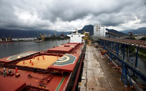 8月份巴西出口糖259万吨 同比下降17.3%