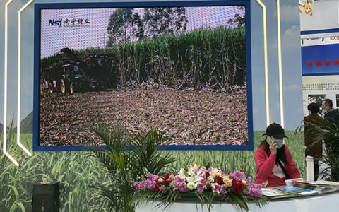 为偿还债务 南宁糖业拟向控股股东募资不超过6亿元