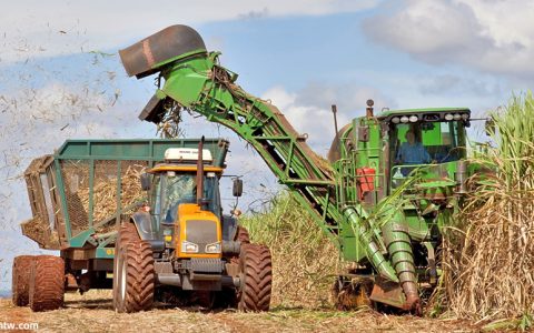 巴西10月份出口食糖232万吨 同比减少41.34%