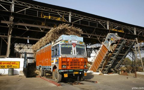 印度食品部：本年度食糖产量预计增长13%达3500万吨 出口950万吨