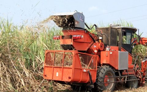 广西出台糖料蔗生产机械化作业补贴细则