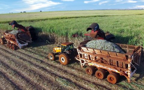 发改委经贸司：2023年3月国际食糖市场情况