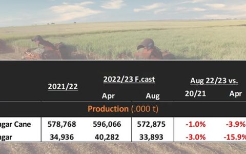 新榨季巴西产糖量将创11年新低 全球产量第一也将让出