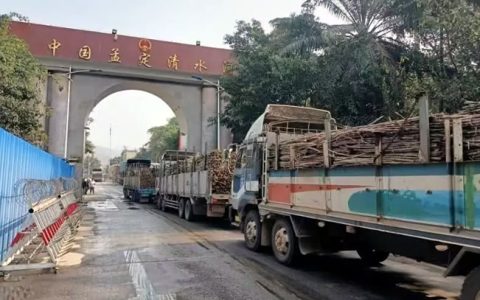 临沧清水河口岸已进口缅甸甘蔗6万余吨 本榨季预计将达16万吨