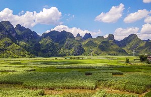 云南：加强中缅科技合作 促进甘蔗产业共赢发展