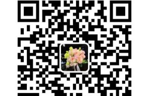 今日糖网VIP现货尊享价：大理仓库提货价5340元/吨