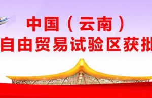 高压打击走私 为云南建设自由贸易试验区创造良好营商环境