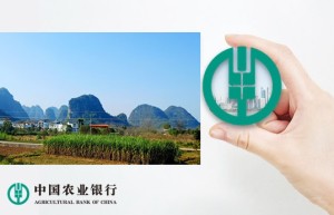 经济日报：广西金融助力端稳全国“糖罐子”