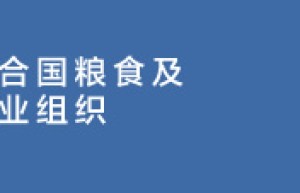 联合国粮农组织食品价格指数四月有所回落 糖价指数上浮3.3%