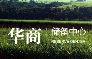 北京华商储备商品交易所有限责任公司简介