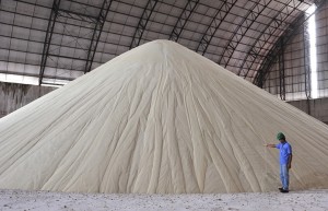 4月份巴西出口糖97.16万吨 同比下降26%