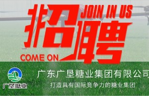 广东广垦糖业集团有限公司国内、驻外人才招聘公告