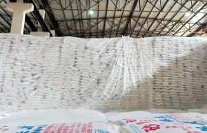 截至1月底云南省累计产糖83.71万吨 同比增长35%