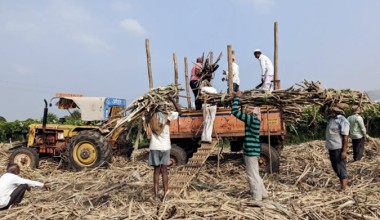 ISMA发布印度2025/26榨季首次预估报告 产糖高达3435万吨 增长16% 呼吁出口200万吨