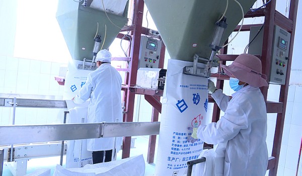 截至4月30日云南已产糖236万吨 同比增长16.87% 14家糖厂未收榨