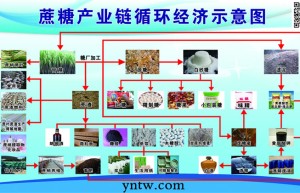 云南临沧耿马绿色食品工业园推进蔗糖全产业链工作