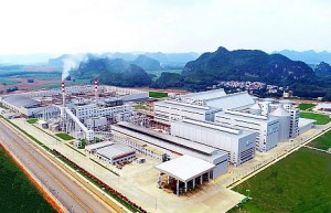 东亚糖业：持续开展高端认证 铸就卓越产品质量
