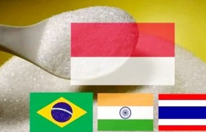 伊朗面临制裁 印尼将成为印度食糖的最大进口国