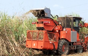 广西出台糖料蔗生产机械化作业补贴细则