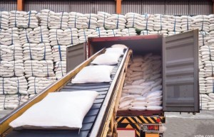 印度食品部长确认新增120万吨食糖出口 因新榨季增产