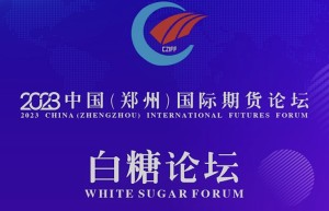 郑商所：积极推进白糖短期系列期权和国际原糖期货研发上市