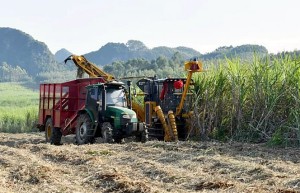 农民日报：广西出台糖料蔗作业补贴实施细则