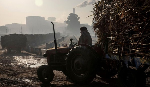 印度：截至4月30日产糖3159万吨 产糖率10.09% 未收榨糖厂23家
