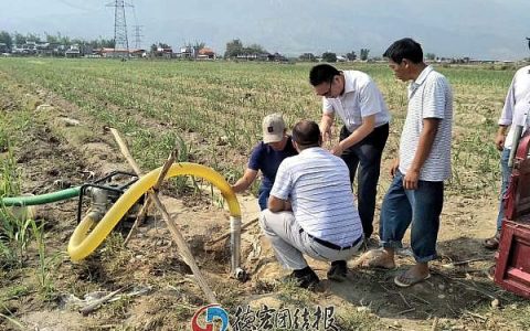 德宏州万亩甘蔗遭遇旱灾 人保财险启动理赔