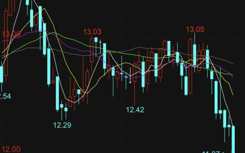 国际糖价连续下跌 印度泰国库存高企