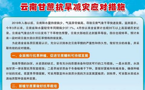 2019云南甘蔗抗旱减灾应对措施