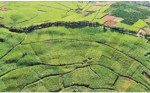 “甜蜜引擎”持续发力提速发展--耿马加快蔗糖全产业链建设