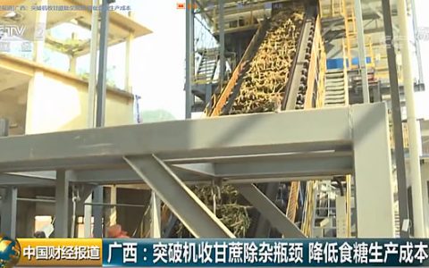 广西突破机收甘蔗除杂瓶颈 降低食糖生产成本