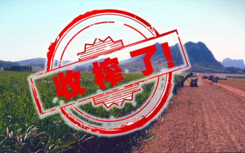 云南2018/19榨季生产结束  与上榨季对比