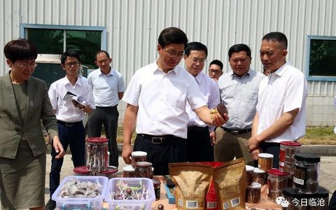 云南省副省长临沧调研：集中优势打造蔗糖全产业链