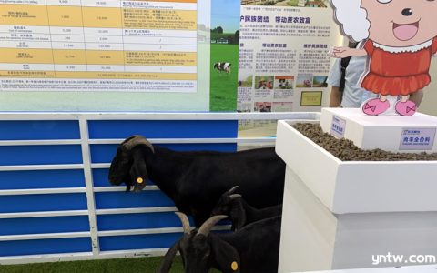 甘蔗渣高值化应用研究 9大类实际应用