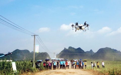 2019广西甘蔗产业高质量发展峰会在崇左举行