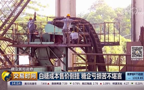 CCTV糖业困局调查：白糖成本售价倒挂 糖企苦不堪言