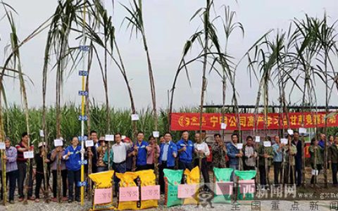 “七个塑造”--广西东亚糖业集团培育糖业知名品牌