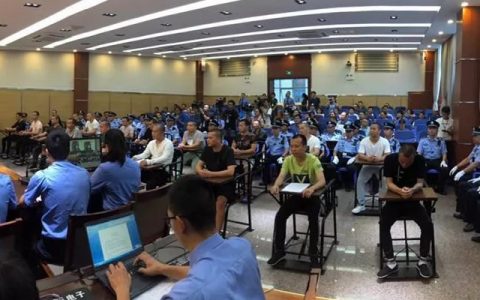 查办黑社会性质团伙 在中越边界挖5个通道走私白糖、生猪等 逆天了